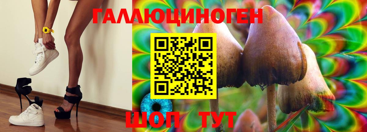 Псилоцибиновые грибы ЛСД  Вход с VPN  Красноярск 