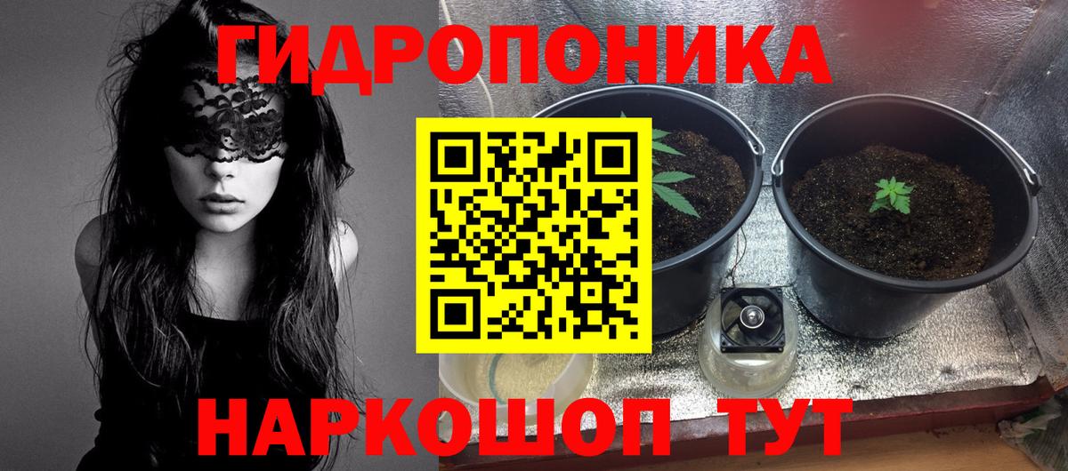 Бошки марихуана VHQ  Конопля ГИДРОПОН  Красноярск  Вход с VPN  МАРИХУАНА планчик 
